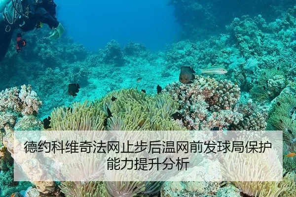 de-yue-ke-wei-qi-fa-wang-zhi-bu-hou-wen-wang-qian-fa-qiu-ju-bao-hu-neng-li-ti-sheng-fen-xi-1-765.jpg